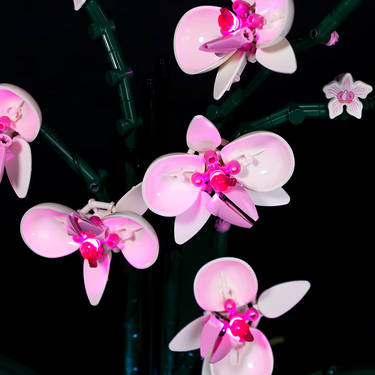 Lego Orchid 10311 Light Kit